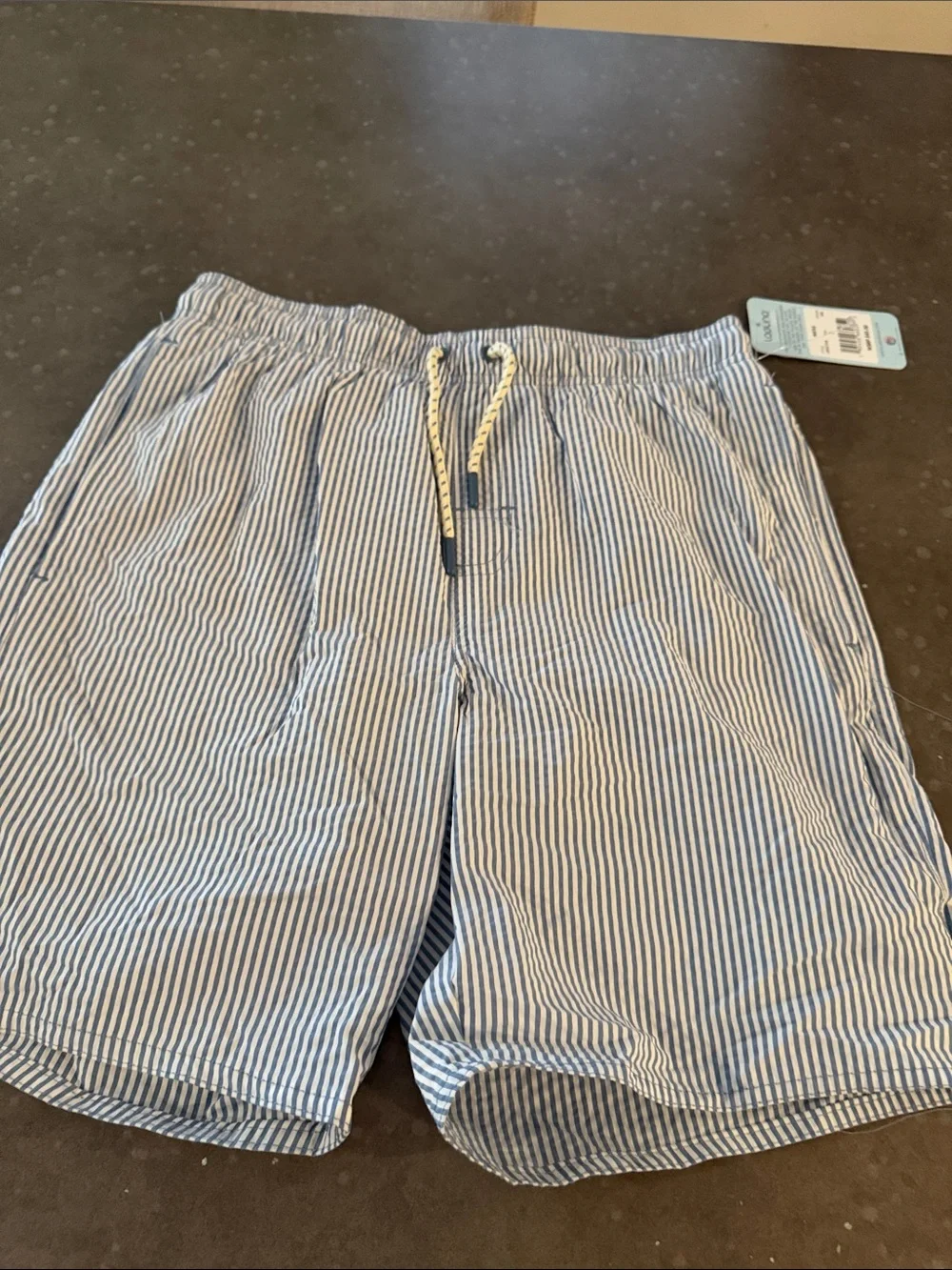 Men's Blue and White Striped Swim Trunks - Drawstring Waist